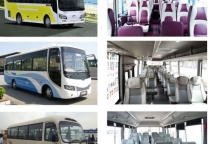      THUÊ XE DU LỊCH 29 CHỖ TPHCM   