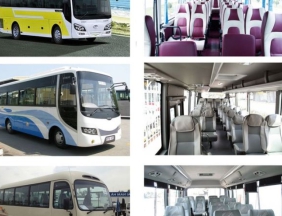 THUÊ XE DU LỊCH 29 CHỖ TPHCM